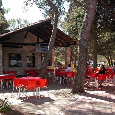 Camping Brioni Póla Kültér fotó